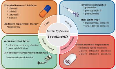 Frontiers Management of male erectile dysfunction From the past